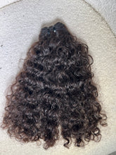 Load image into Gallery viewer, Burmese Curly
