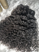 Load image into Gallery viewer, Burmese Curly
